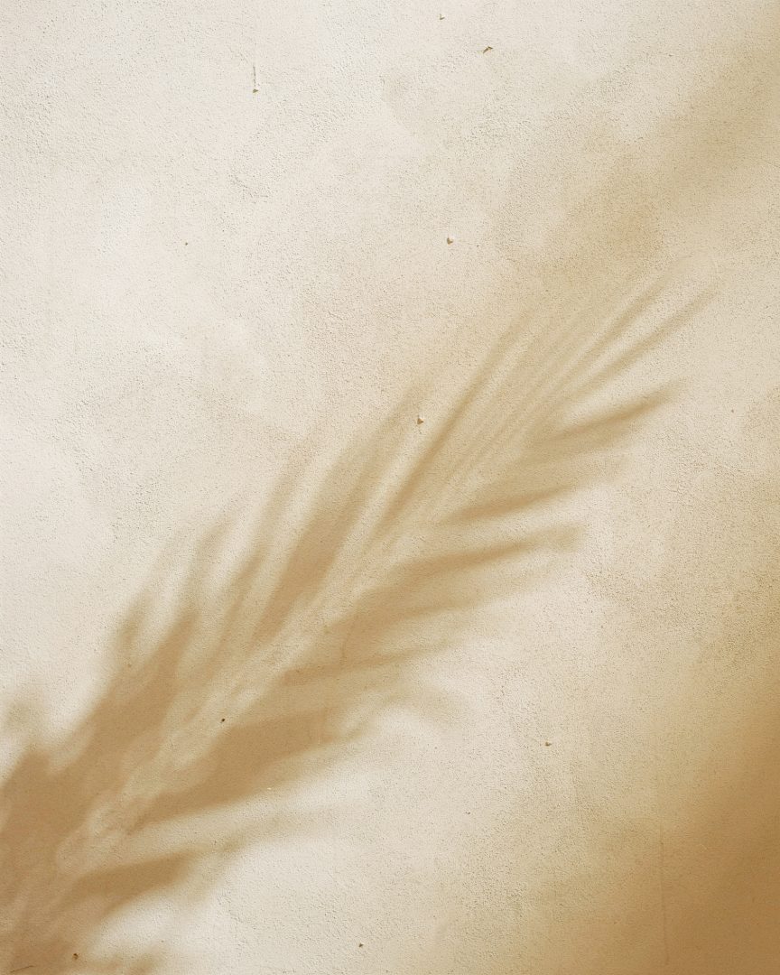 Palm shadow cast on a sun-warmed stucco wall